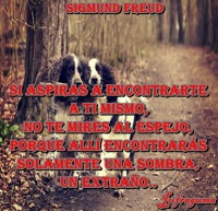 /album/fotogaleria/si-aspiras-jpg/